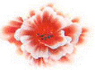 Китайская ропись ногтей - цветок